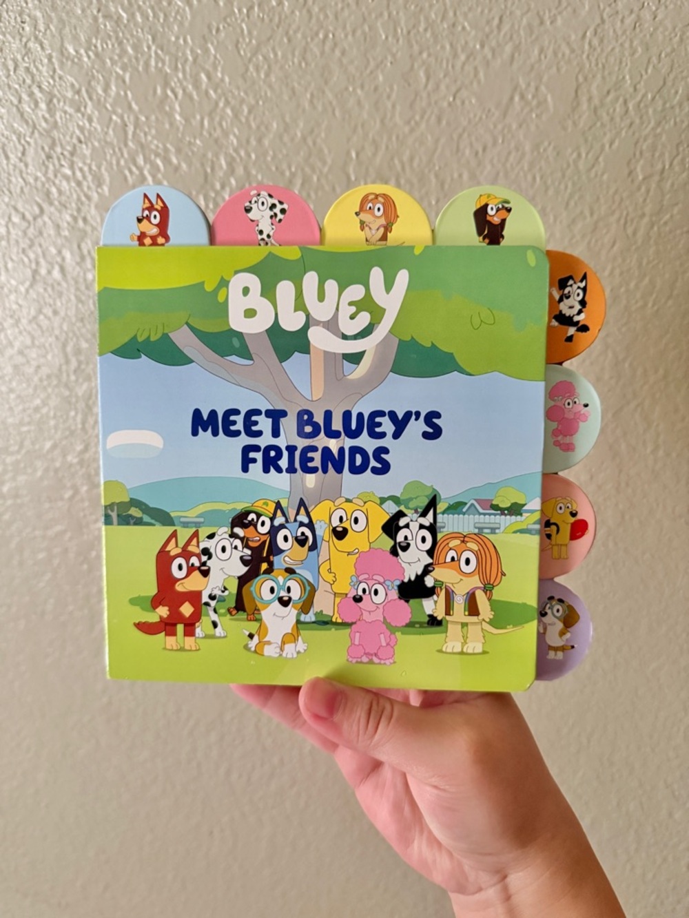 Bluey ‘Meet Bluey’s Friends’ Book